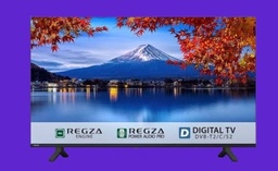 TV 43 Inch Digital Toshiba Full HDp